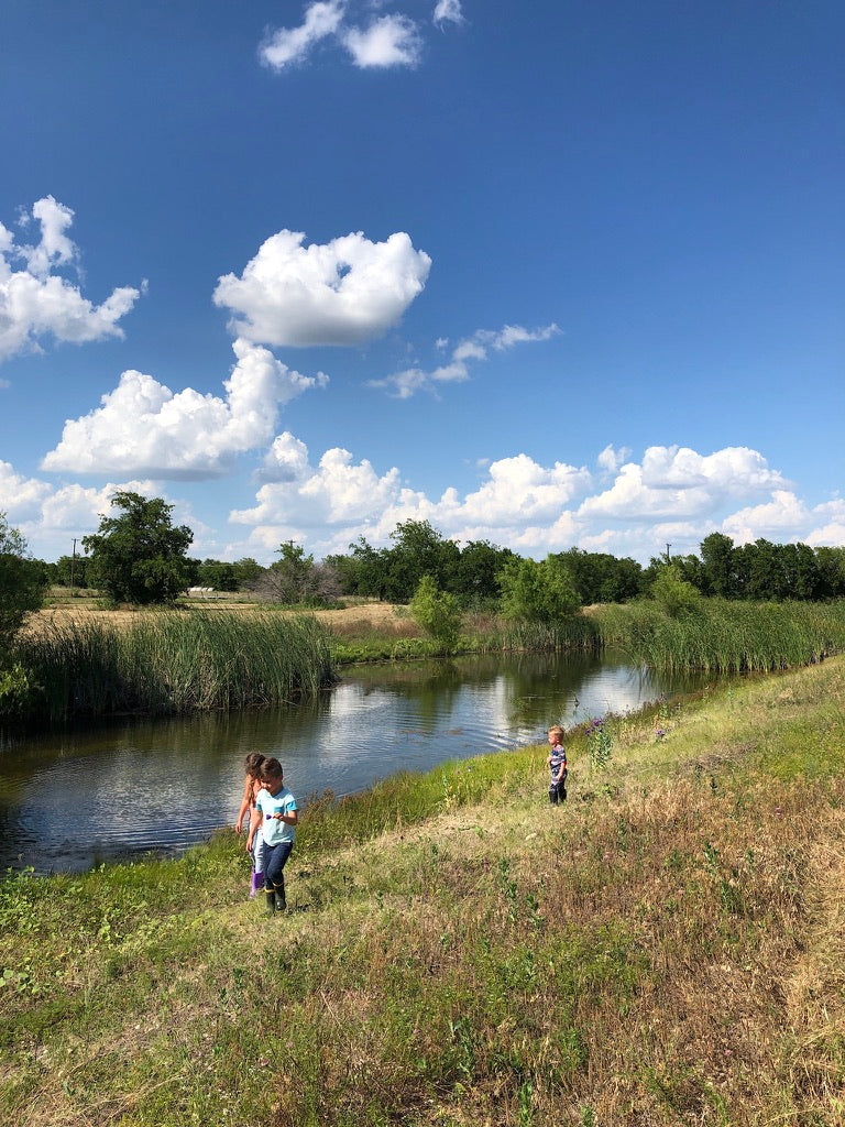 Three children walking along a grassy bank near a small pond with a blue sky and white clouds in the background in Waco, Texas.
